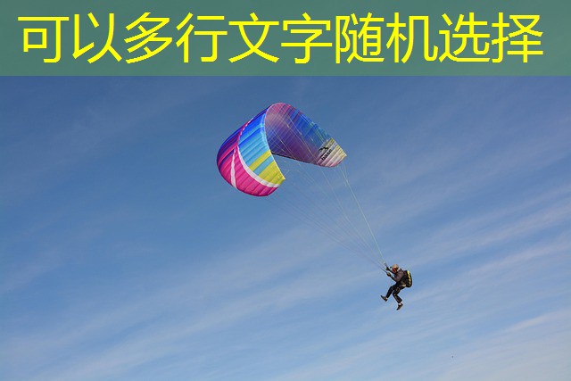 pvbet.com a plataforma de jogos de cassino