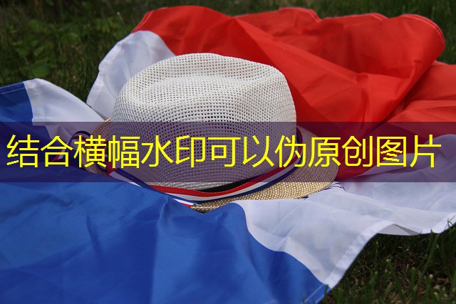 jogo gatinho cassino