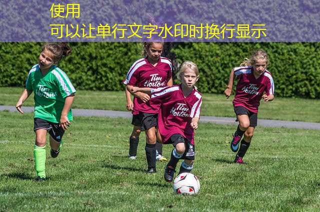 jogos de cassino gratuito