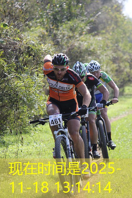 o que se joga em um cassino