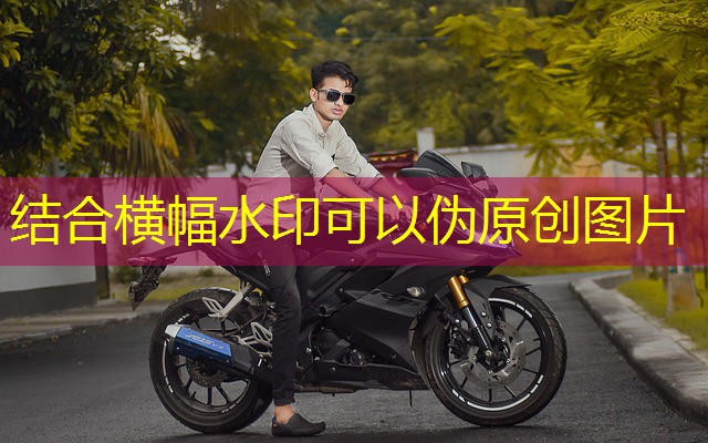 ideias jogos noite do cassino