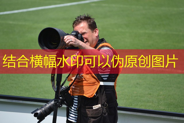 jogo de xadrez cassino planet hollywood