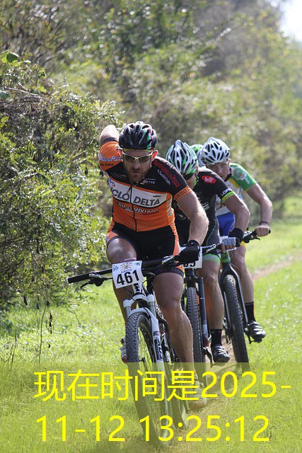 jogo para baixar cassino