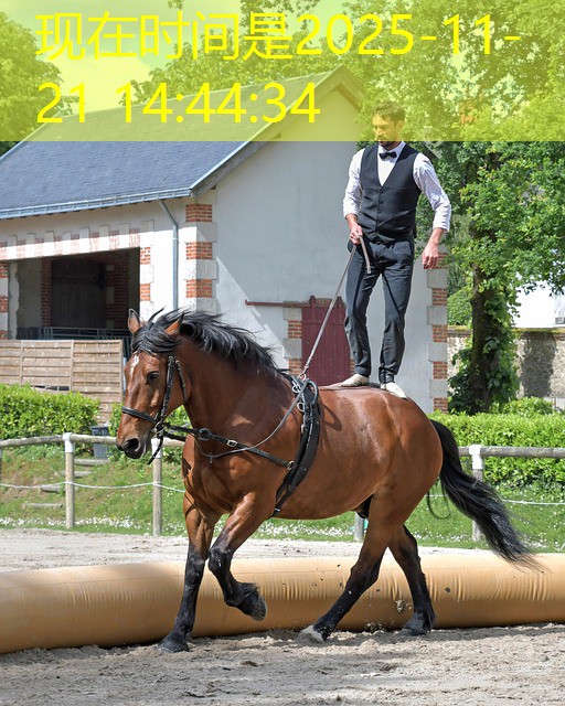 melhor jogo de cassino online