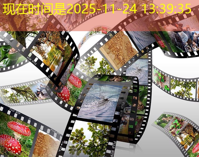 jogo do cassino jogo do cassino