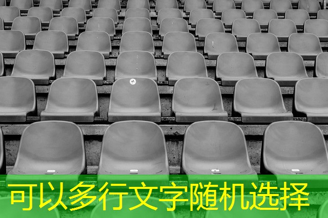 jogo gatinho cassino