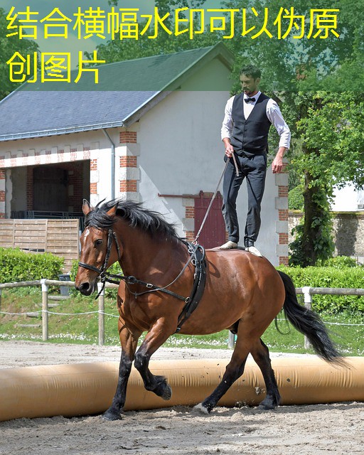 jogo de bingo gratis cassino brasil jogo de bingo gratis cassino brasil