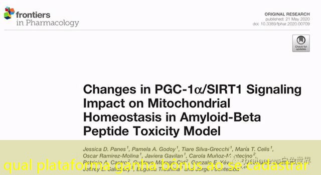 qual plataforma ganha bônus ao se cadastrar